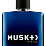 Image for Musk + > Intense Avon