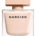 Image for Narciso Poudree Narciso Rodriguez