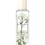 Image for Nettle & Wild Achillea Jo Malone London