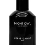 Image for Night Owl Herve Gambs Paris