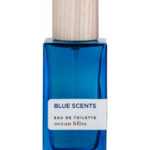 Image for Ocean Bliss Blue Scents