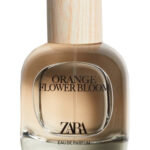 Image for Orange Flower Bloom Zara