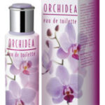 Image for Orchidea Bottega Verde