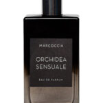 Image for Orchidea Sensuale Marcoccia