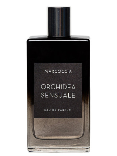 Orchidea Sensuale Marcoccia