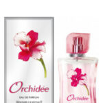 Image for Orchidee Новая Заря (The New Dawn)