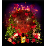 Image for Orient Rose Solstice Scents