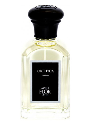 Orphyca Aquaflor Firenze