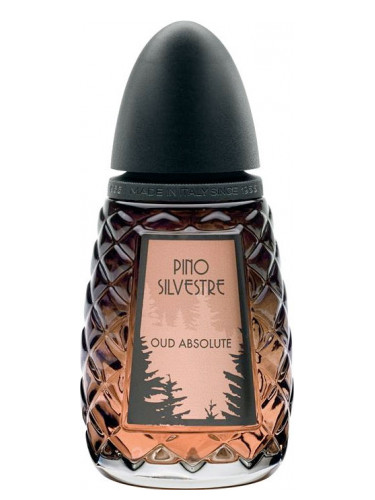 Oud Absolute Pino Silvestre