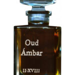 Image for Oud Ambar Fueguia 1833