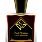 Image for Oud Picante Areej Le Doré