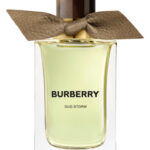 Image for Oud Storm Burberry