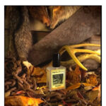 Image for Outpost Solstice Scents