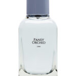 Image for Pansy Orchid Zara