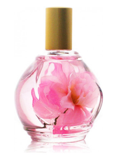 Parfum d’Ambiance Rose Guy Bouchara