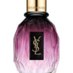 Image for Parisienne L’Essentiel Yves Saint Laurent