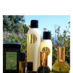 Image for Perfect Chypre Sarah Horowitz Parfums