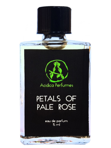 Petals of pale rose Acidica Perfumes