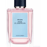 Image for Pink Flamingos Prada