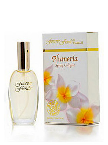 Plumeria Forever Florals Hawaii