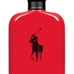 Image for Polo Red Ralph Lauren