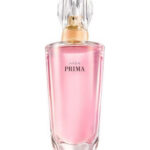 Image for Prima (Dreams) Avon