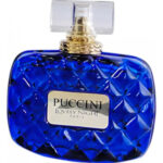 Image for Puccini Lovely Night Blue Puccini Paris