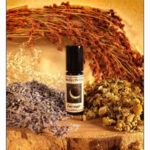 Image for Quiet Night Solstice Scents