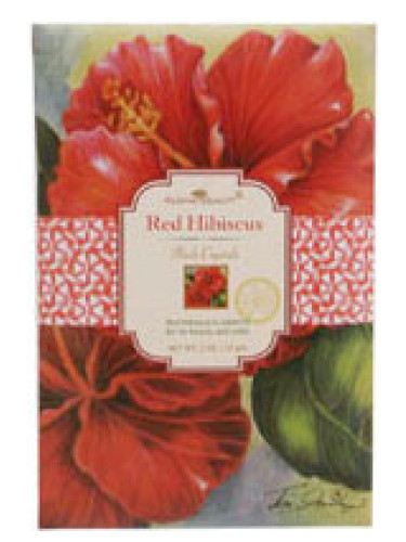 Red Hibiscus Aloha Beauty