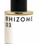 Image for Rhizome 03 Rhizome