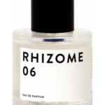Image for Rhizome 06 Rhizome