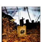 Image for Riverside Hayride Solstice Scents