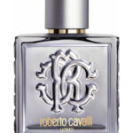 Image for Roberto Cavalli Uomo Silver Essence Roberto Cavalli