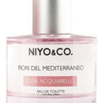 Image for Rosa Acquarello NIYO&CO