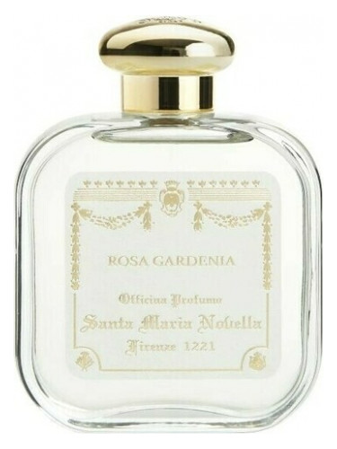 Rosa Gardenia Santa Maria Novella