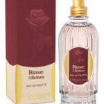 Image for Rose 4 Reines L’Occitane en Provence