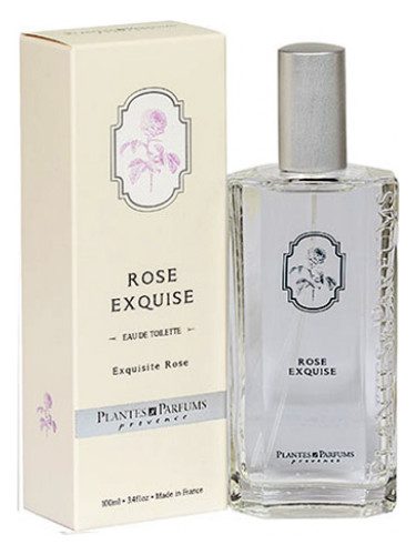Rose Exquise Plantes & Parfums