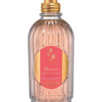 Image for Rose Jardin Delice L’Occitane en Provence