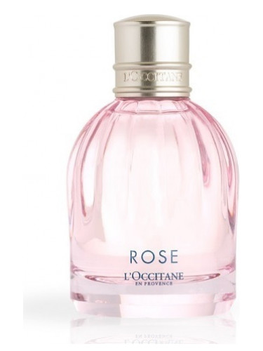 Rose L’Occitane en Provence