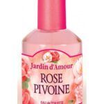 Image for Rose Pivoine Jardin d’Amour