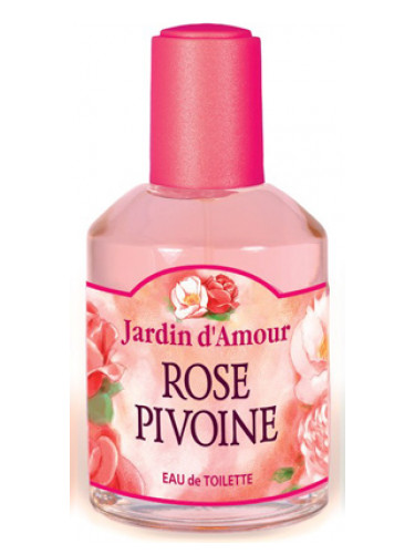 Rose Pivoine Jardin d’Amour