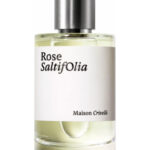 Image for Rose SaltifOlia Maison Crivelli