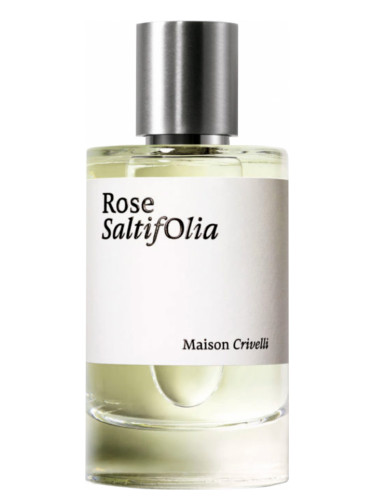 Rose SaltifOlia Maison Crivelli
