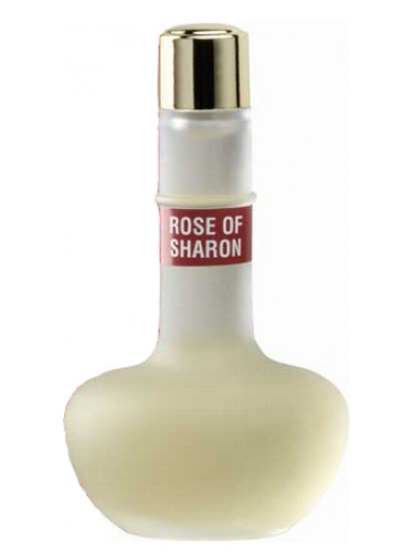Rose of Sharon Ein Gedi