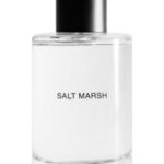 Image for Salt March Massimo Dutti