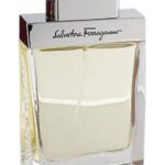 Image for Salvatore Ferragamo pour Homme Salvatore Ferragamo