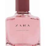 Image for Scarlet Peony Zara