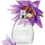 Image for Scent Essence – Blooming Lotus Avon