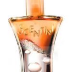 Image for Scentini Citrus Chill Avon