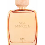 Image for Sea Mimosa Gas Bijoux